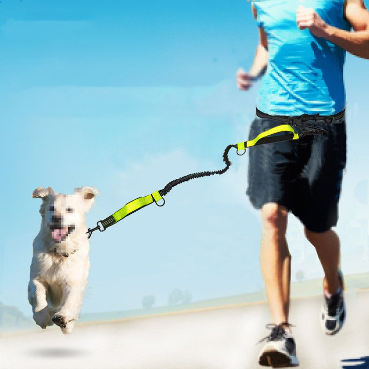 Telescopic Dog Leash Dog Chain Lead Rope