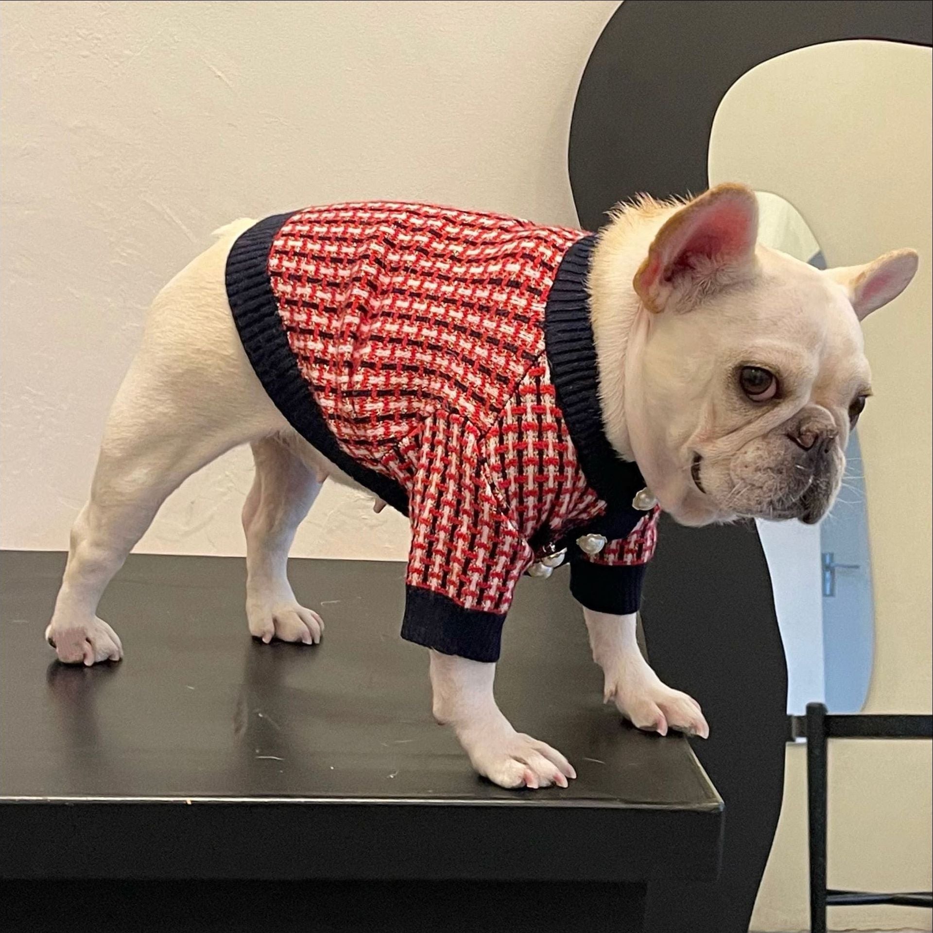 Winter Pet Clothes Winter Sweater