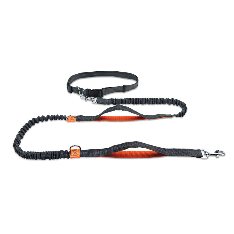 Telescopic Dog Leash Dog Chain Lead Rope