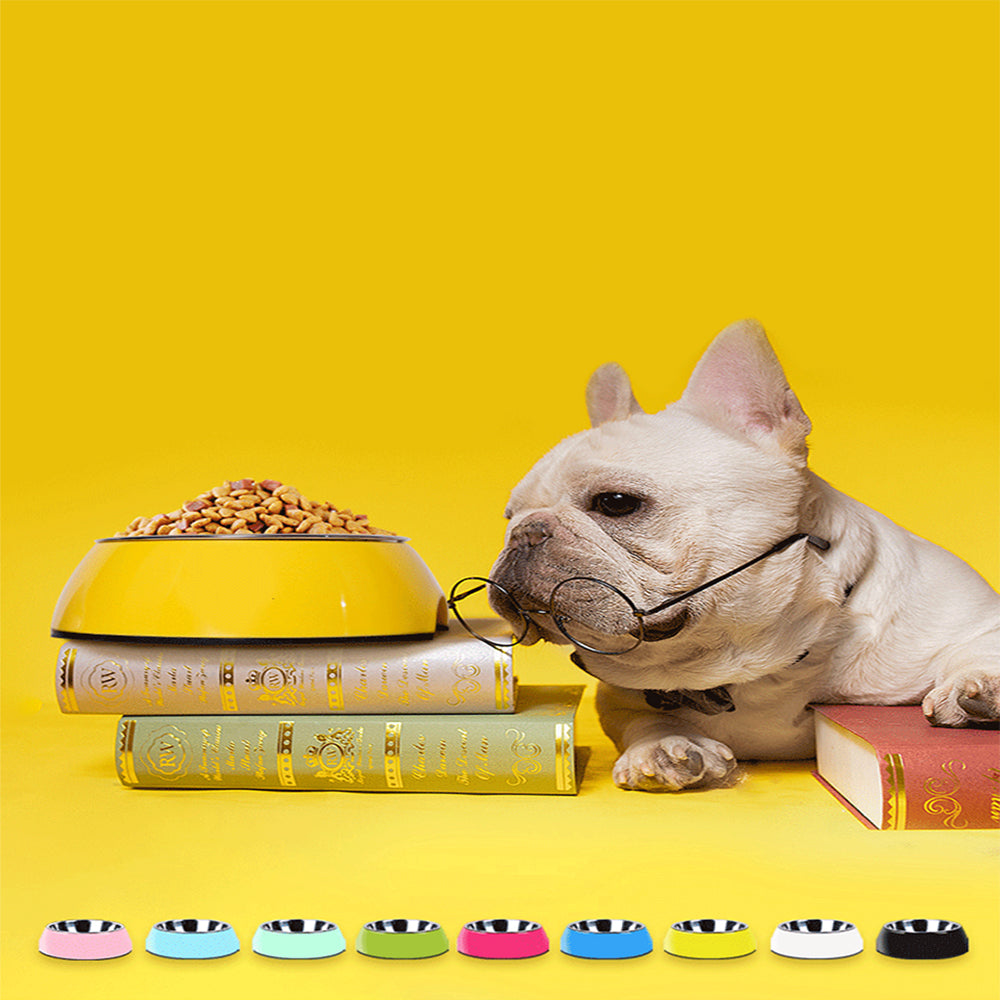 Pet Large Stainless Steel Food Bowls