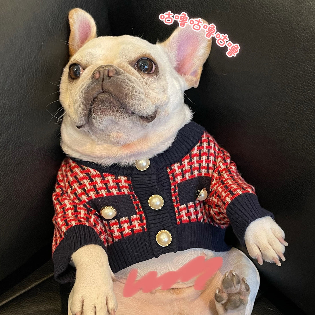 Winter Pet Clothes Winter Sweater