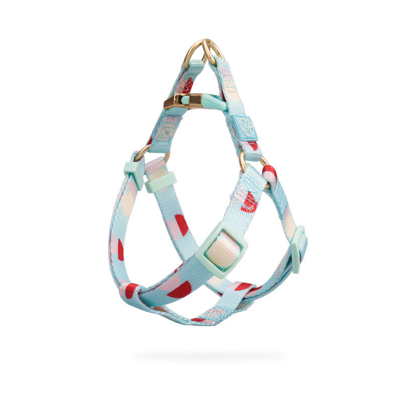 Y-shaped Chest Strap Pet Supplies Dog Leash