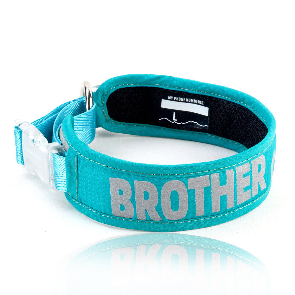 Explosion Proof Chest Strap Cat Leash